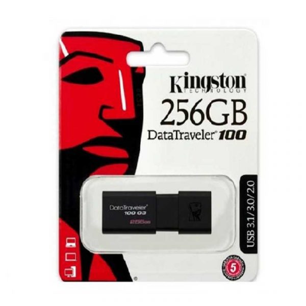 Memory USB 256 GB